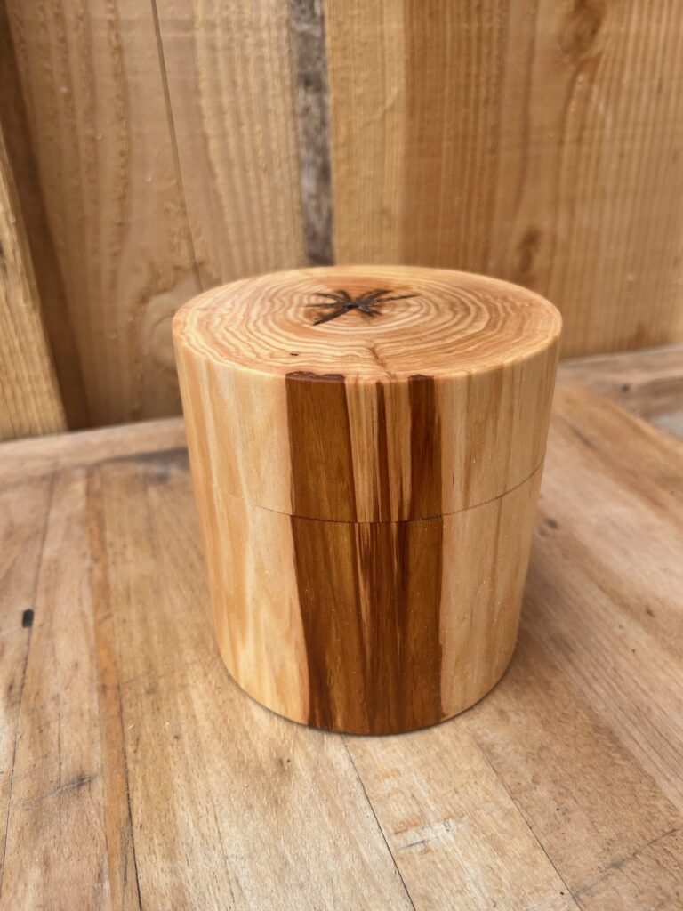 Dose Salweide