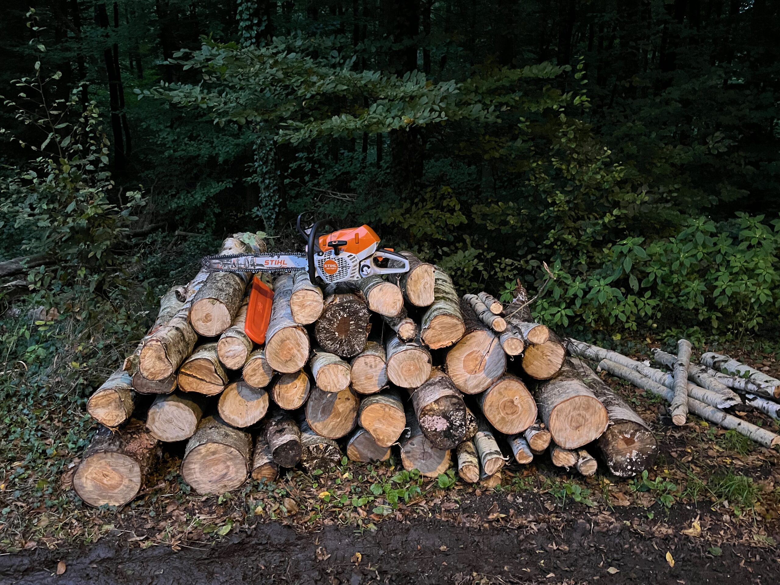 Holzgewinnung